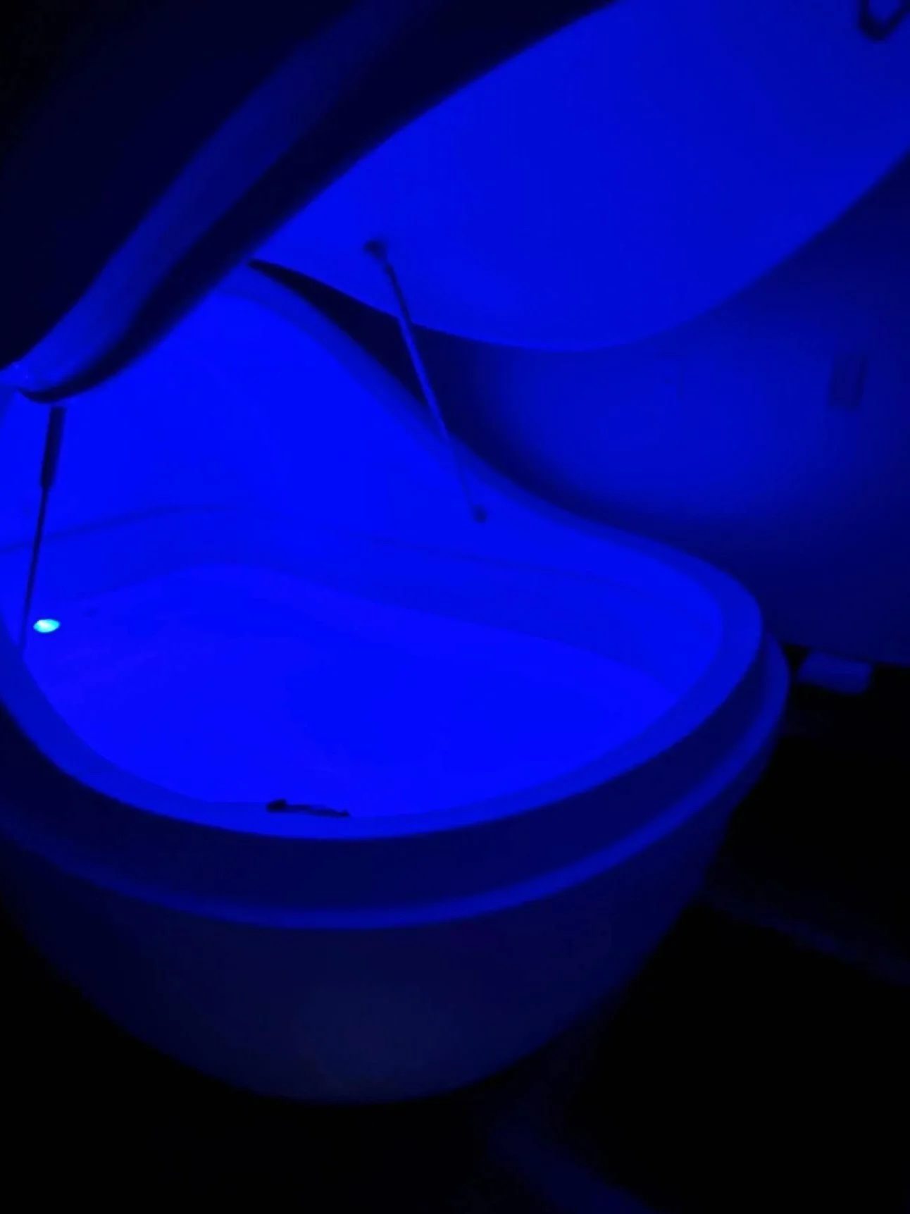 Float 42 sensory pod open, lit in deep blue
